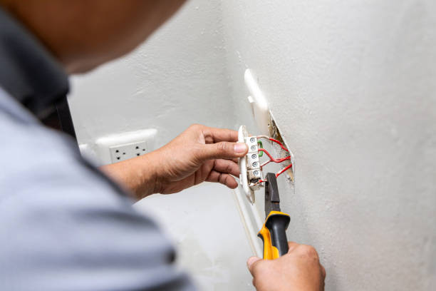Best Ceiling Fan Installation Electrician  in Wilton, CA